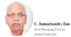 Sales& market share to be maintained C Ramachandra Rao -- Joint Managing Director Avanti Feeds Ltd