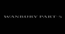 Wanbury Ltd., Ashok Shinkar, Director, Part 5 ( 2008 )